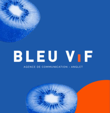 seo agence de communication