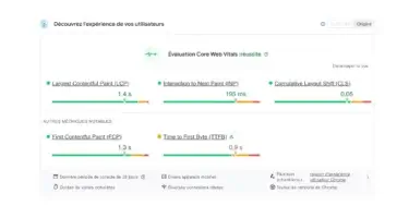 page speed insight vitesse de chargement site
