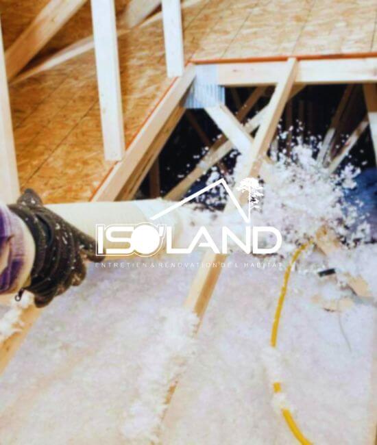 seo local isoland
