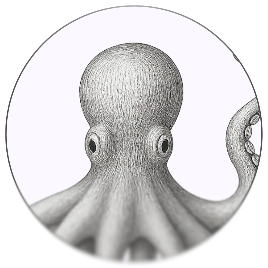 octave favicon transparent