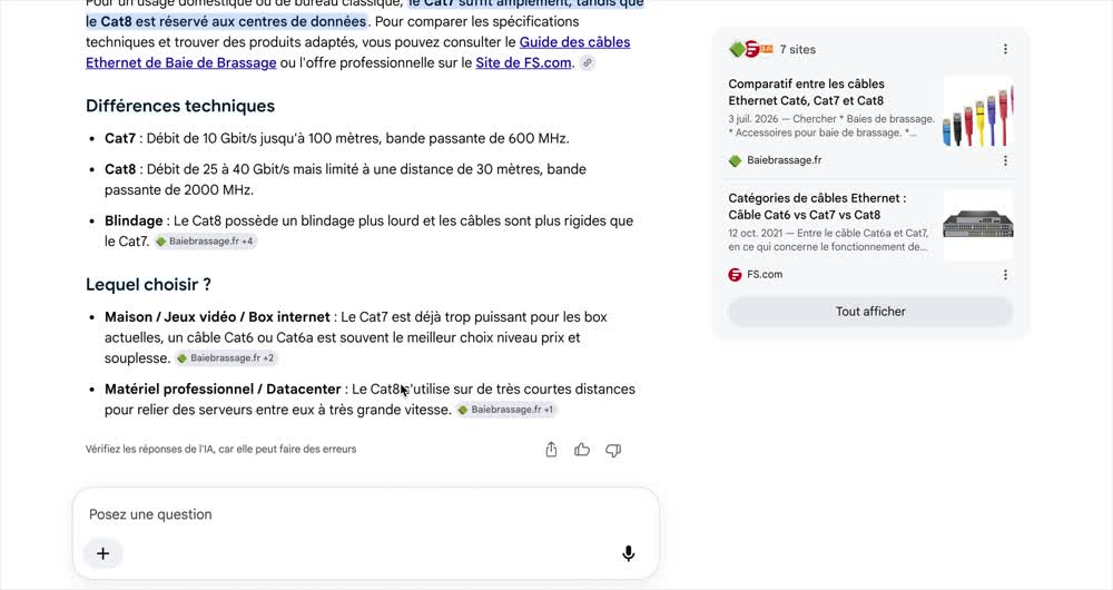 baiebrassage.fr cité plusieurs fois dans le corps de l'Aperçu IA