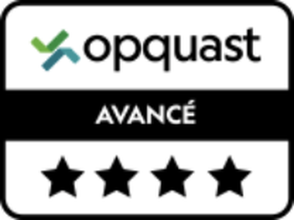 Certification Opquast avancé, 4 étoiles