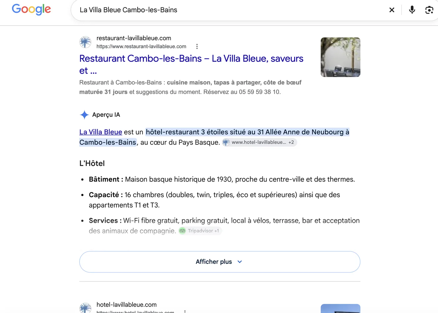 Recherche Google « La Villa Bleue Cambo-les-Bains » : premier résultat naturel et Aperçu IA qui cite le site de l’hôtel
