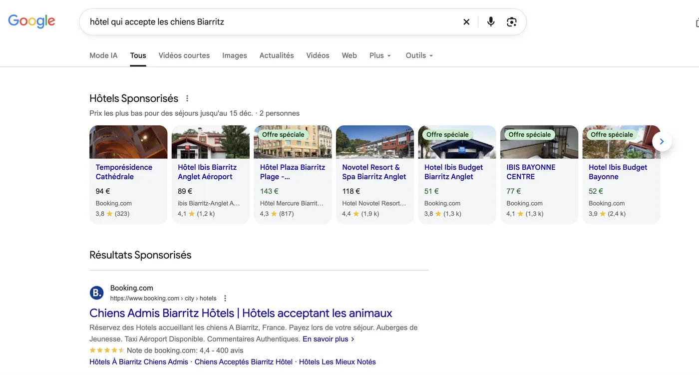 Recherche Google « hôtel qui accepte les chiens Biarritz » : hôtels sponsorisés et annonce Booking.com sur la requête longue
