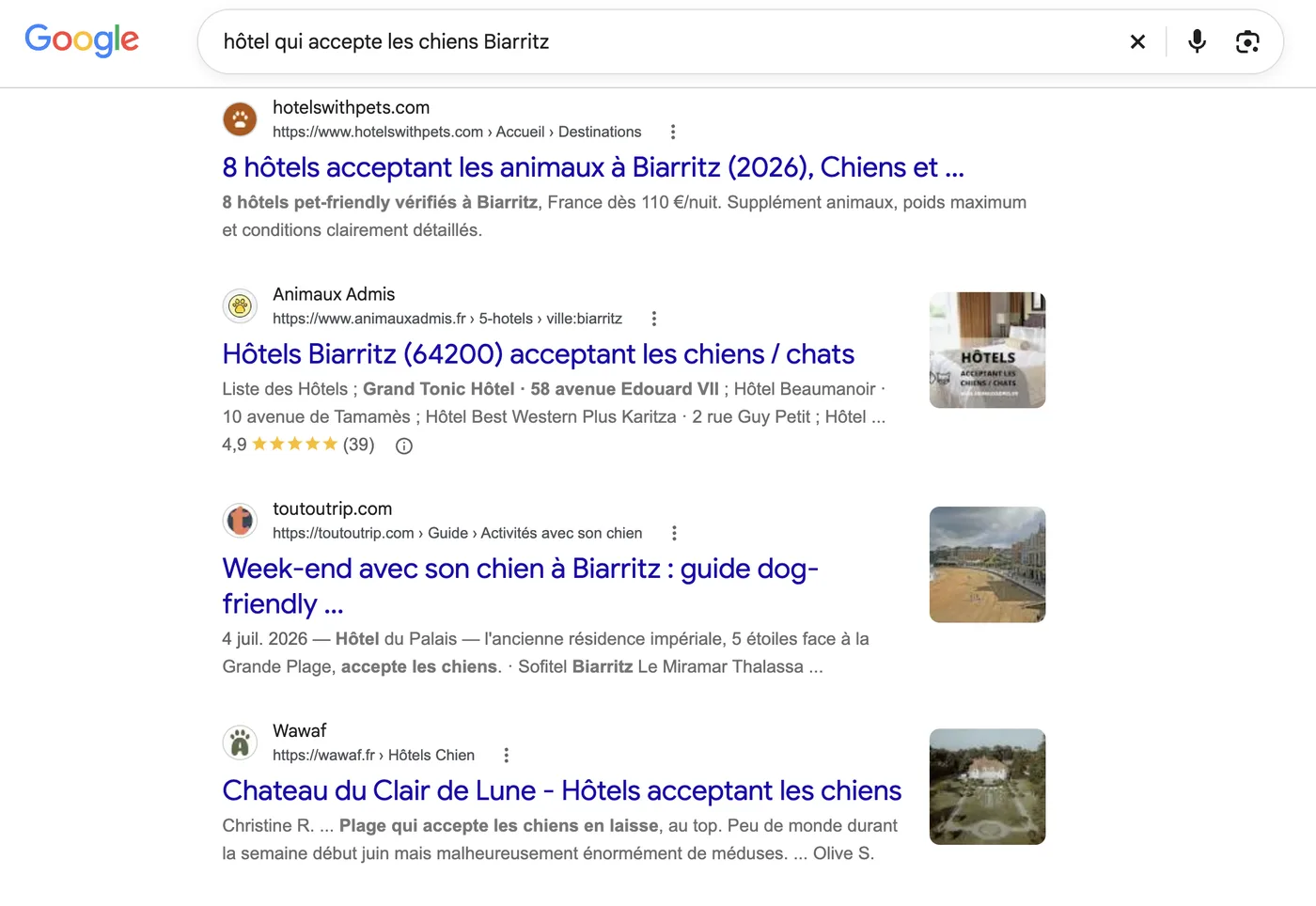 Résultats naturels de « hôtel qui accepte les chiens Biarritz » : quatre annuaires spécialisés en tête, aucun site d’hôtel